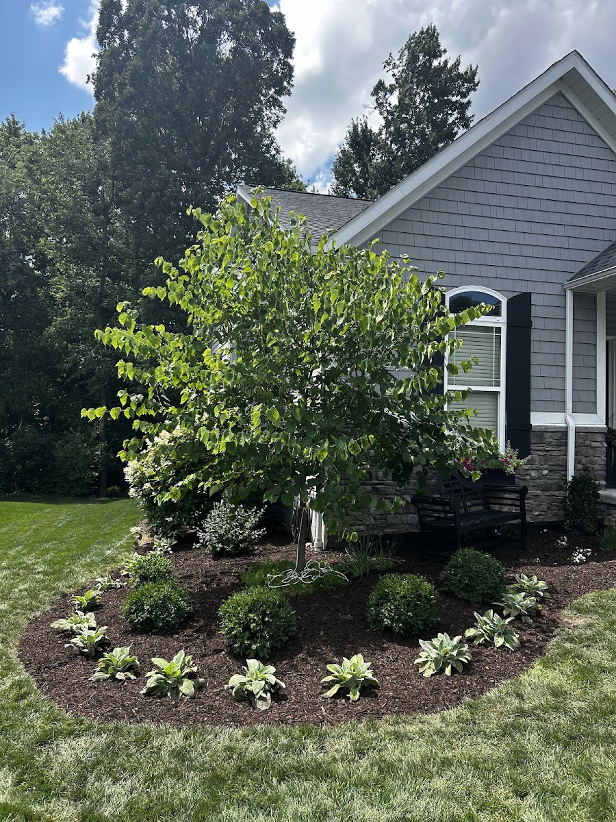 Pristine Green Lawn and Landscape landscapers project photo