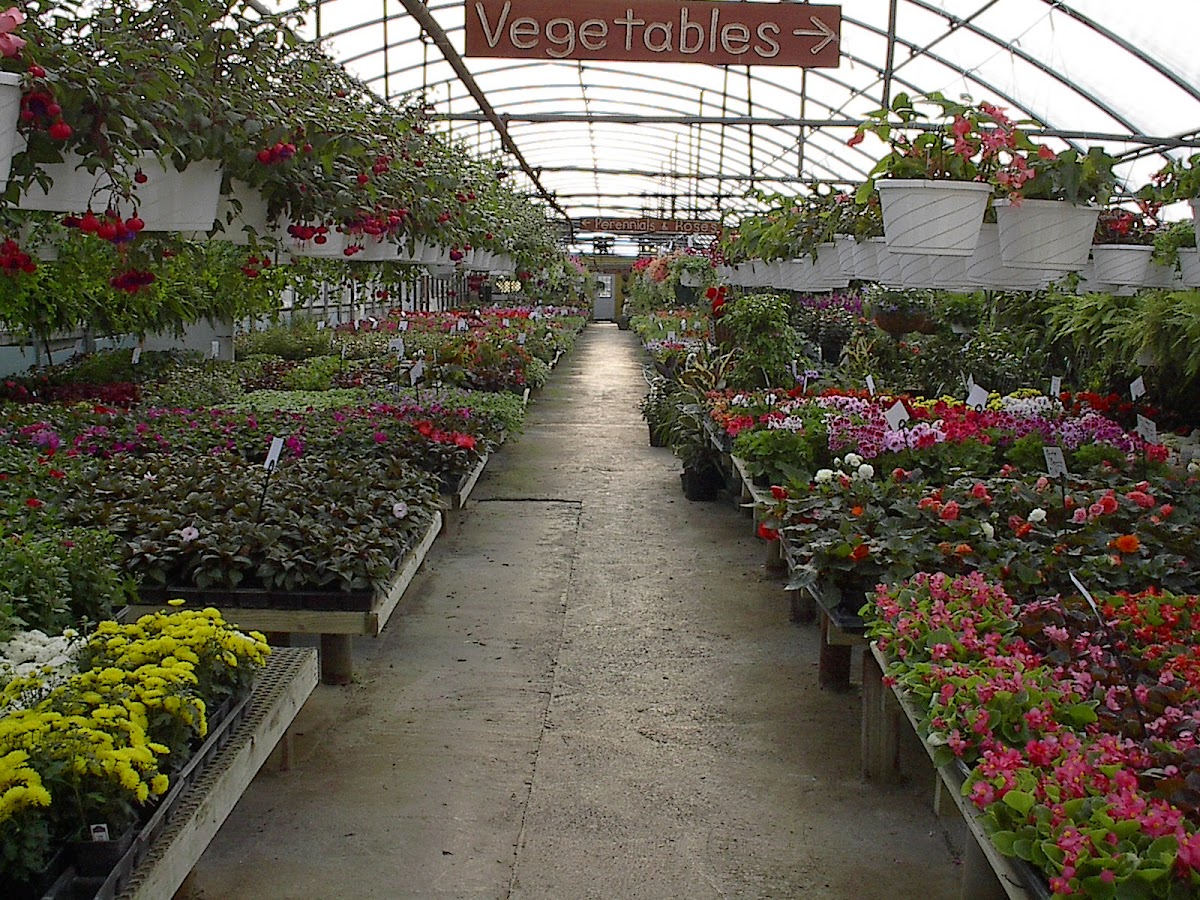 DeHoff Flowers, Greenhouse, and Landscaping, Inc. florists project photo