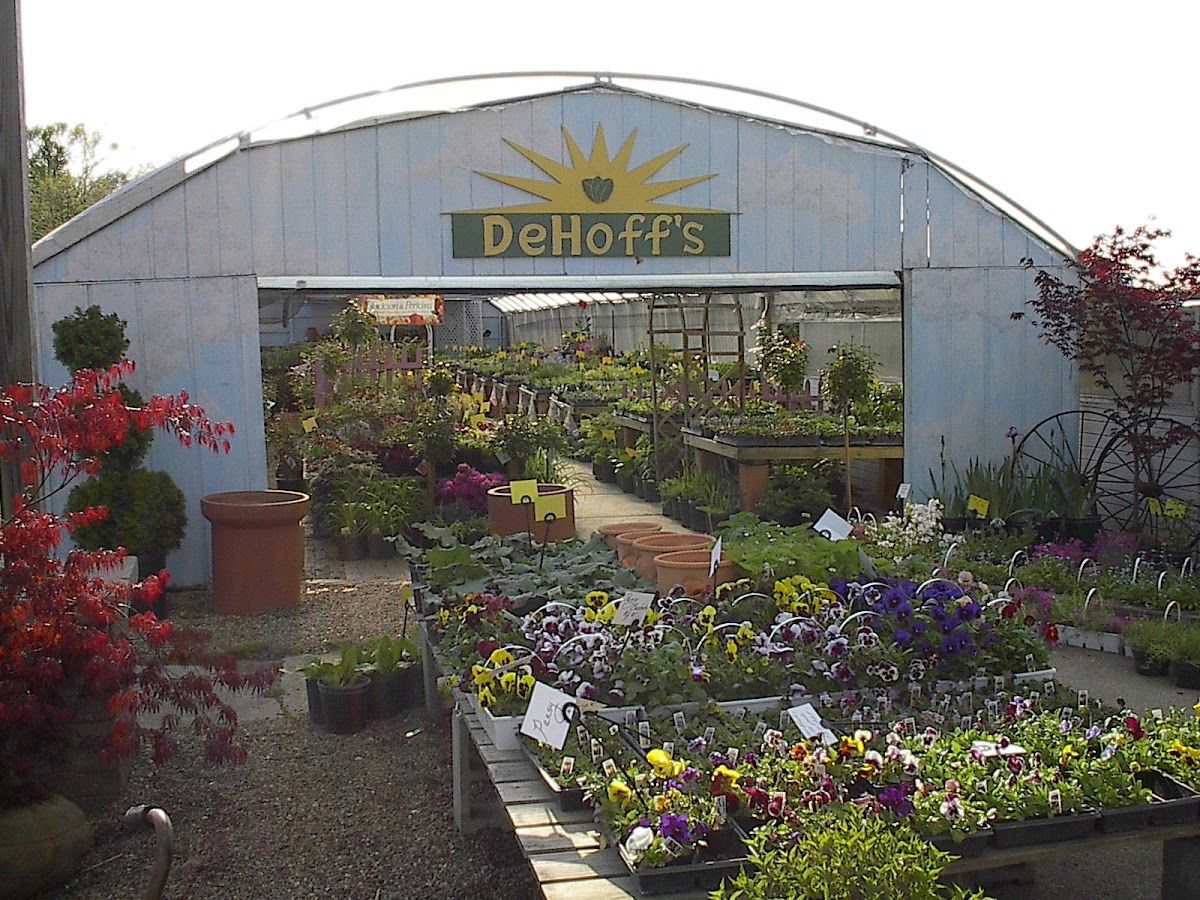 DeHoff Flowers, Greenhouse, and Landscaping, Inc. florists project photo