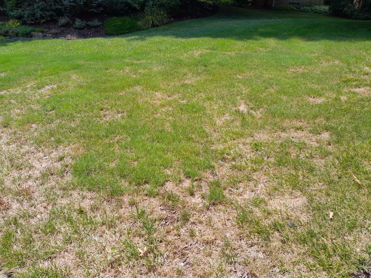 Grass Master Inc landscapers project photo