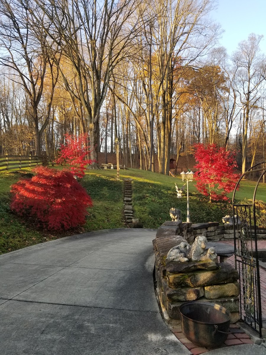 Grass Master Inc landscapers project photo