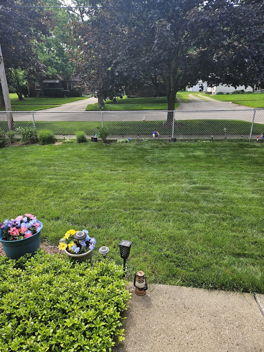 Grass Master Inc landscapers project photo