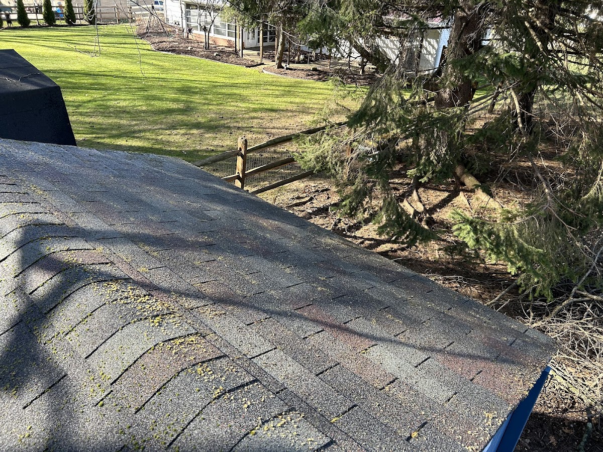 Elite Guard Power Washing pressure washing project photo