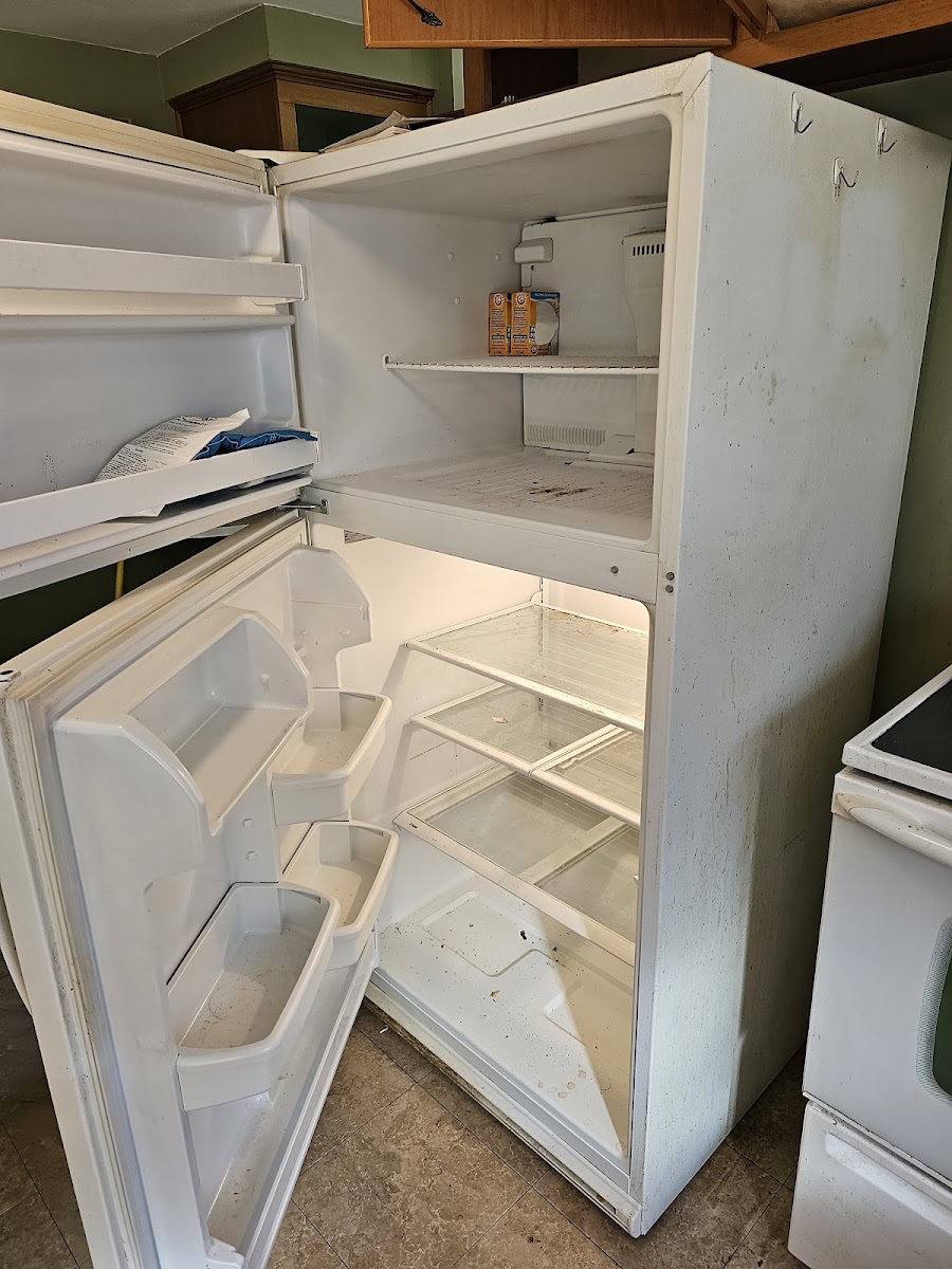Alicia's Cleaning Services LLC cleaners project photo