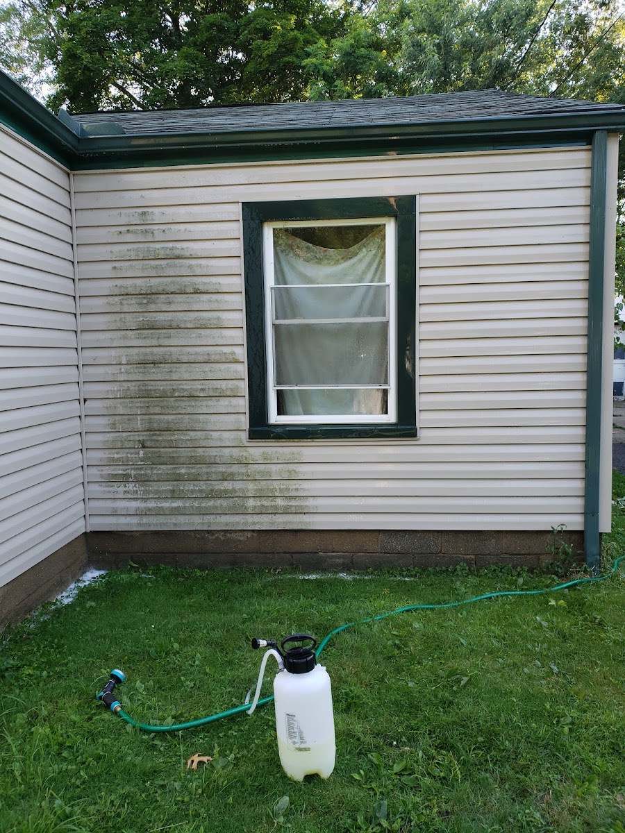 Big T's Power Clean pressure washing project photo