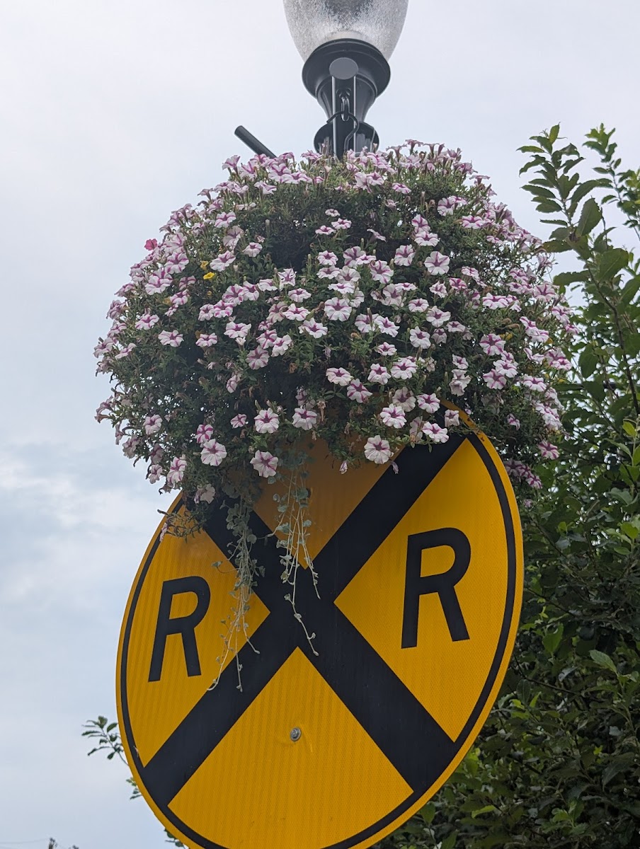 Coach House Floral, Inc. florists project photo