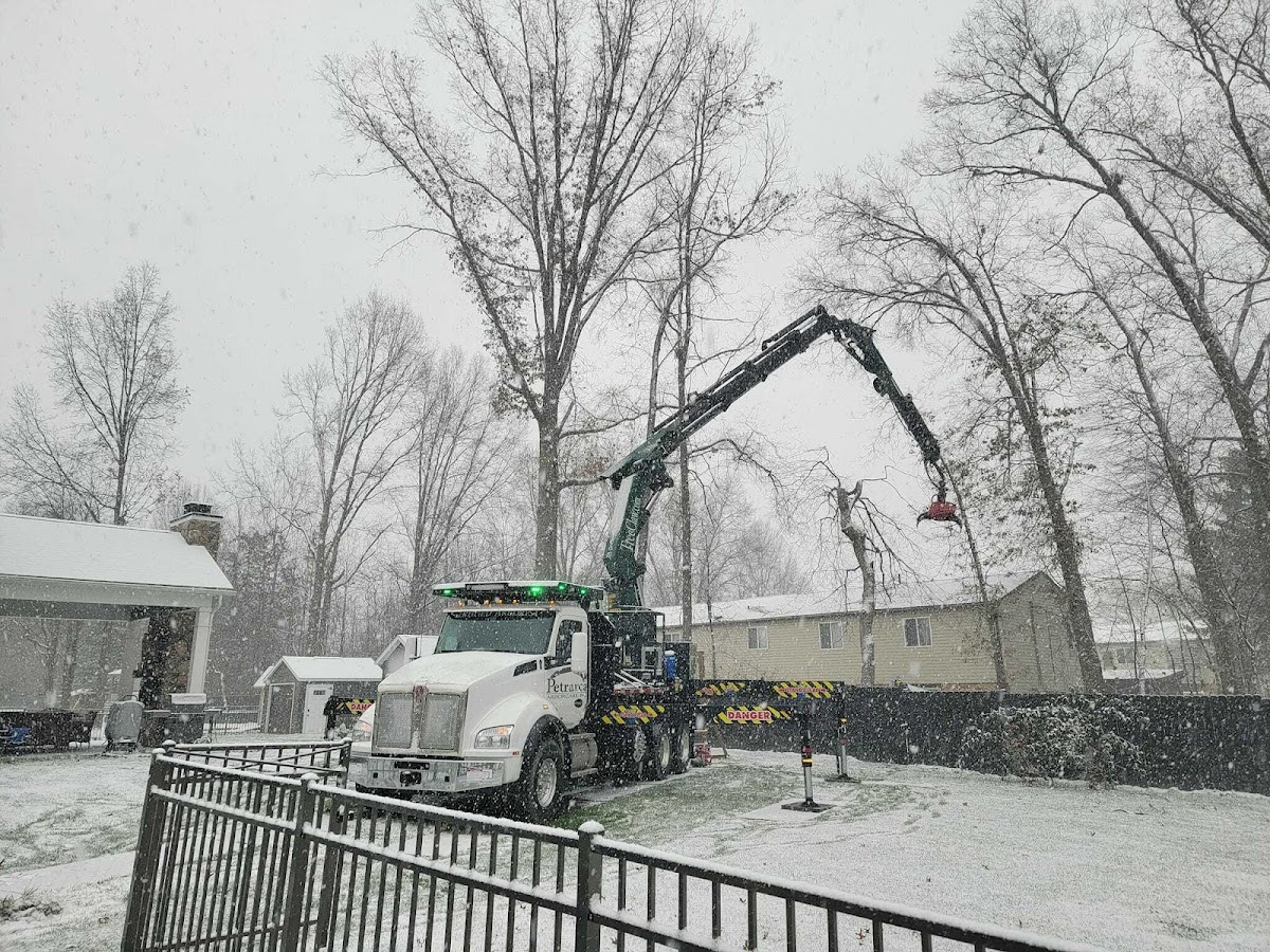 Petrarca Arborcare Inc landscapers project photo