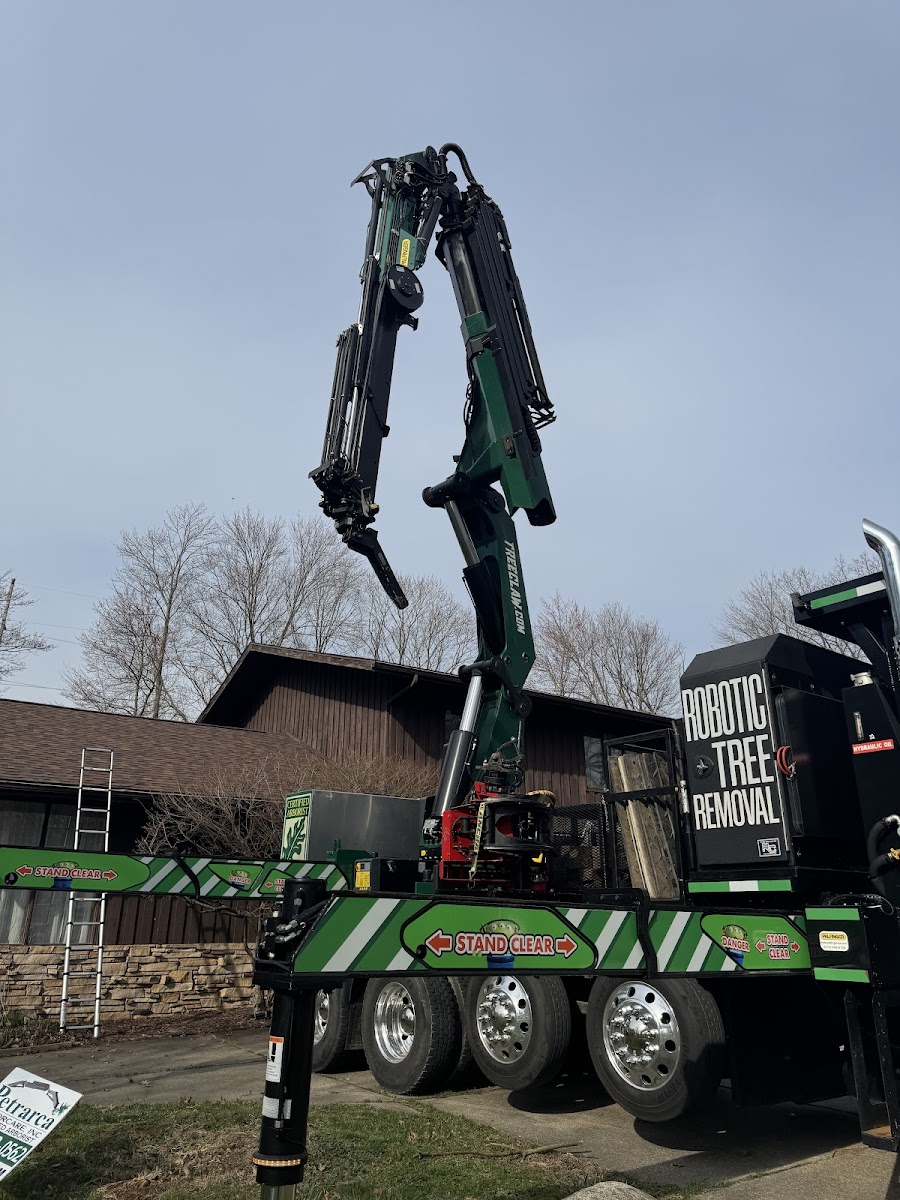 Petrarca Arborcare Inc landscapers project photo