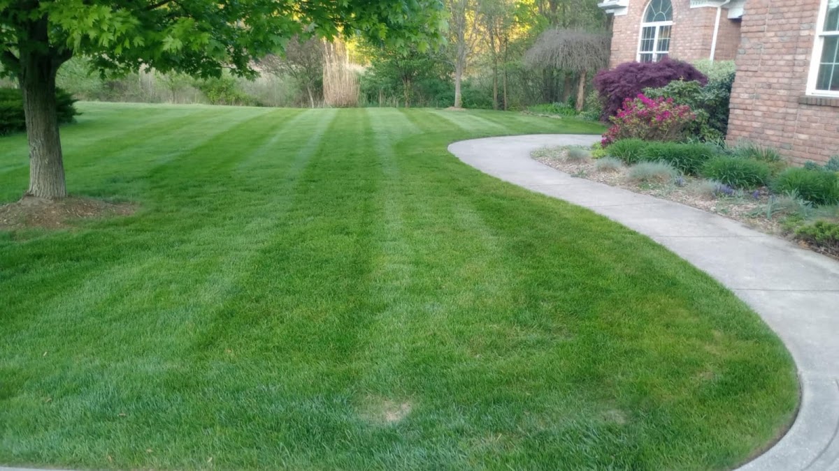 First Choice Landscaping and Lawn Maintenance LLC landscapers project photo