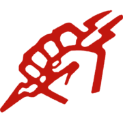 Pauli Electric Inc logo