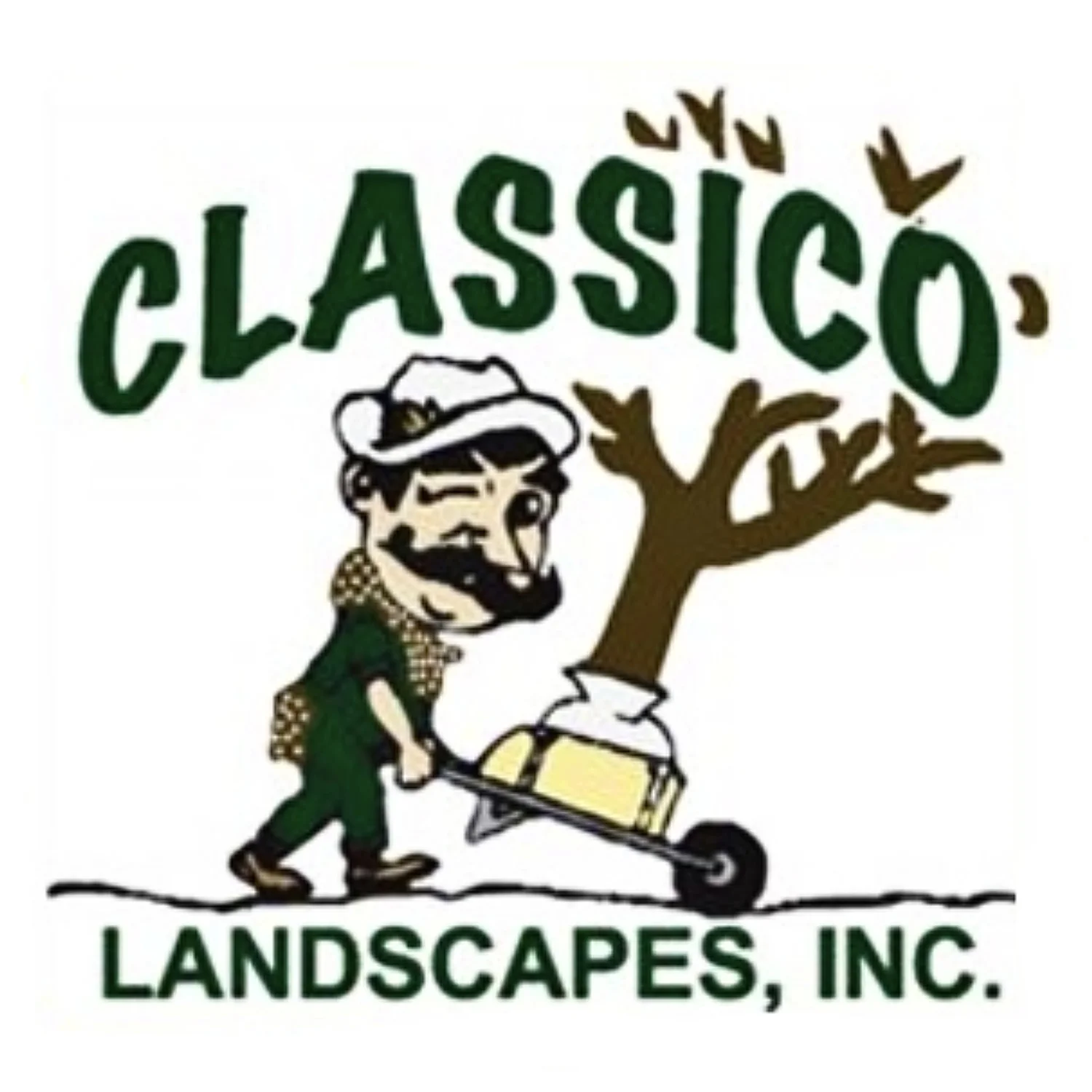 Classico Landscapes Inc logo