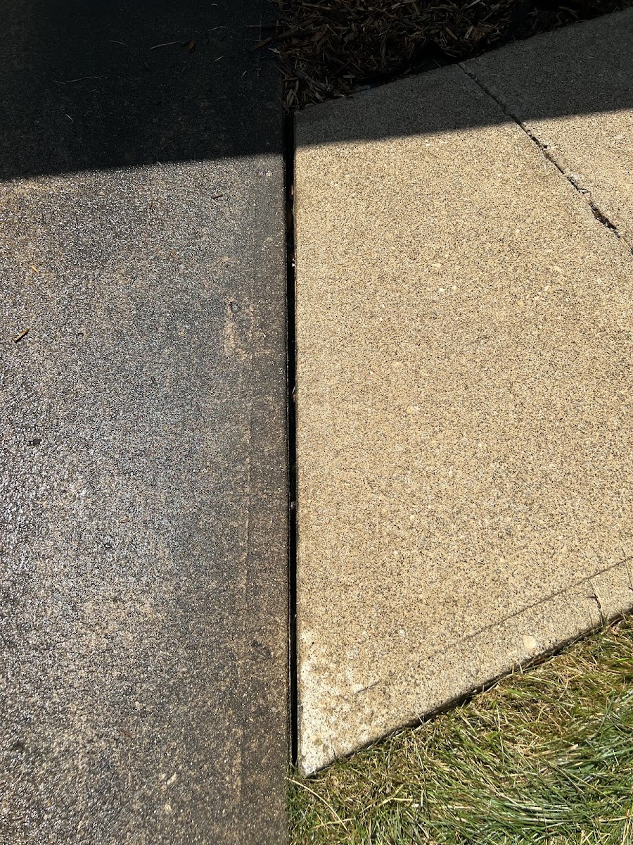 Mckimm Pressure Pros Exterior Cleaning LLC pressure washing project photo