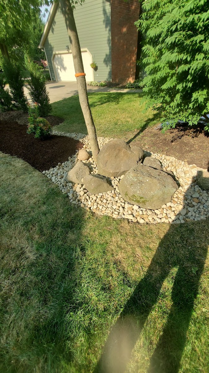 Klein's Lawn and Landscaping Inc. landscapers project photo