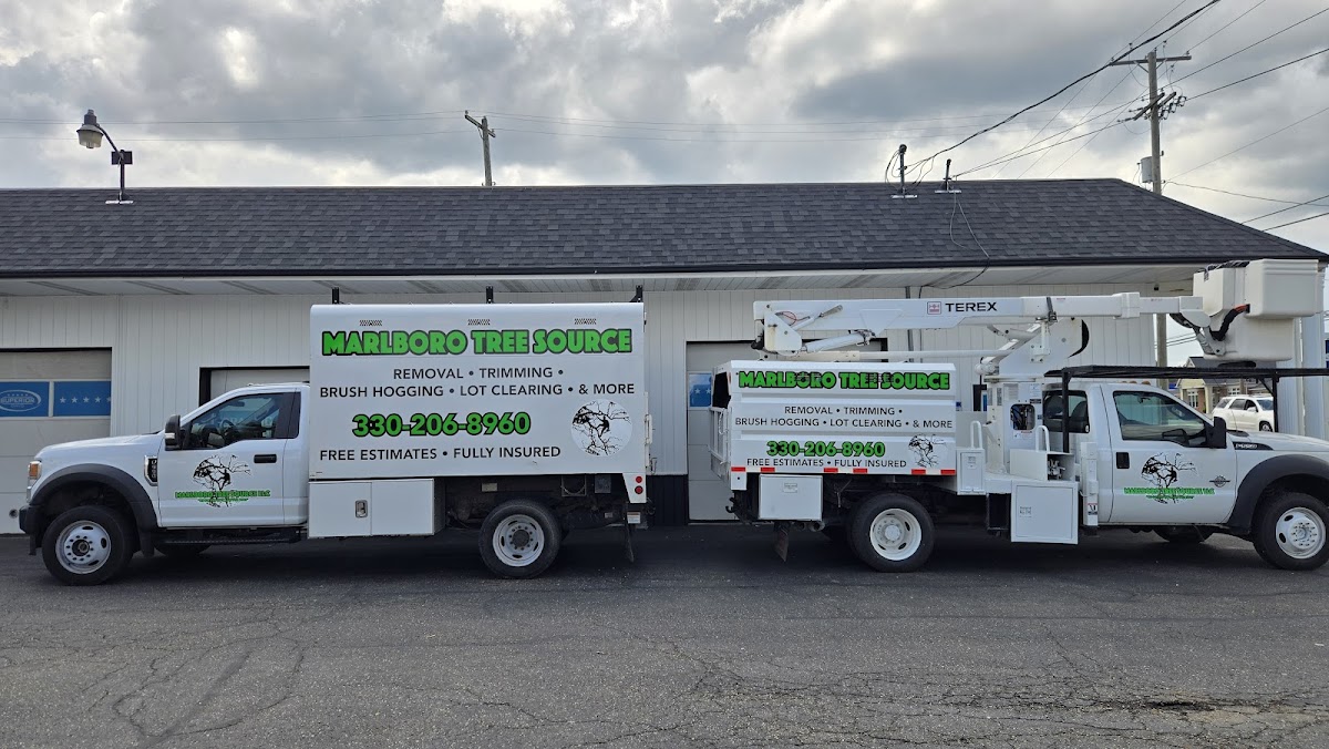 Superior Wraps & Coatings auto detailing project photo