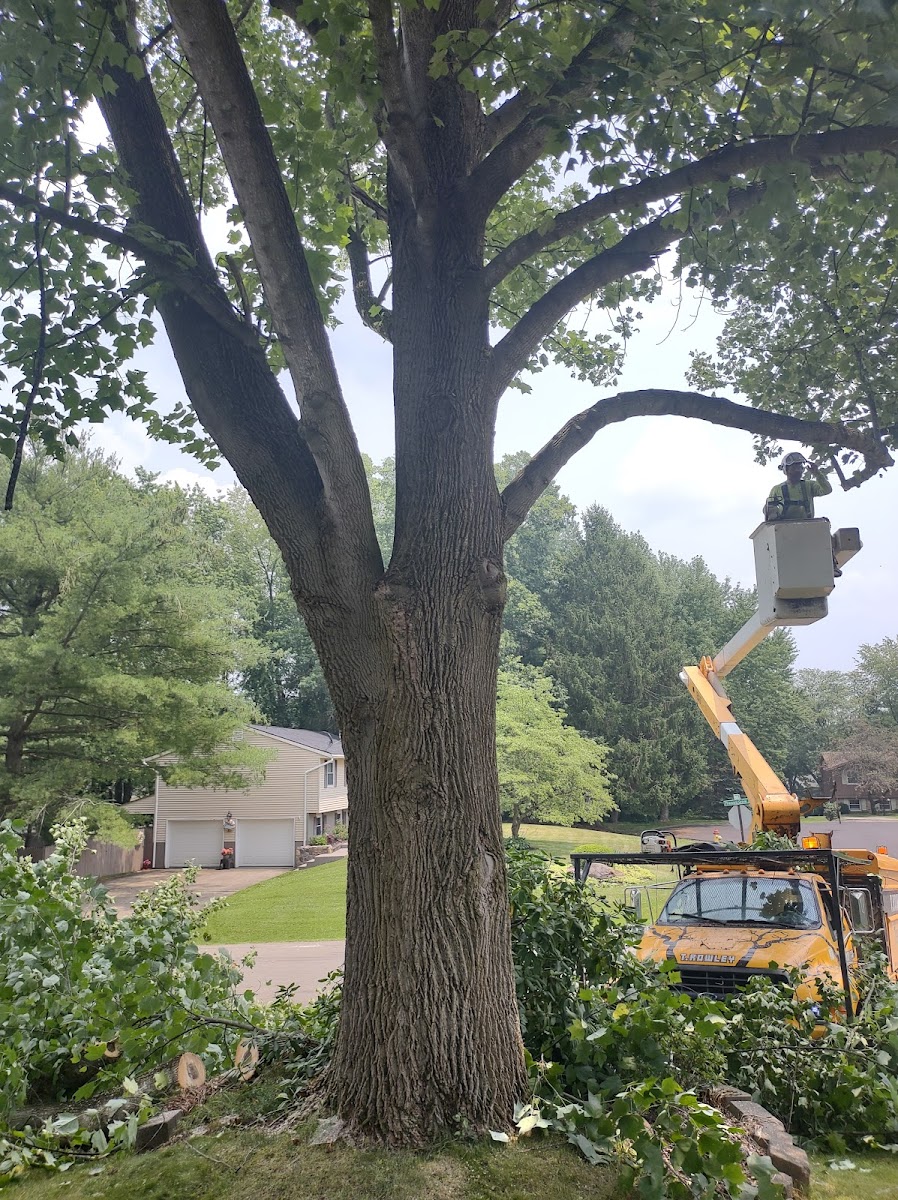 T. Rowley Lawns landscapers project photo