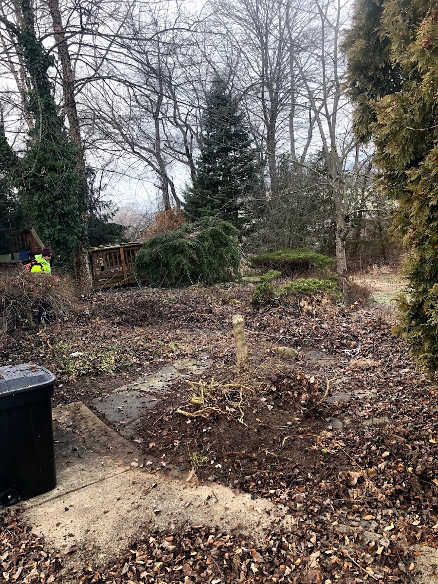 Father and son property maintenance landscapers project photo