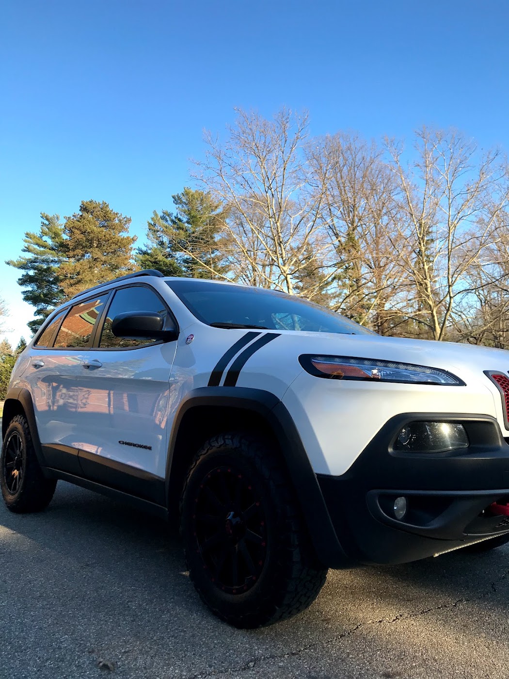 Dr. Cleen Professional Detailing auto detailing project photo