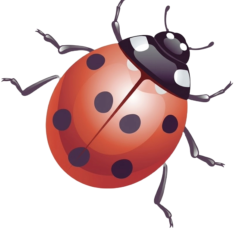 The Lady Bug Garden Center /Lawn Care logo