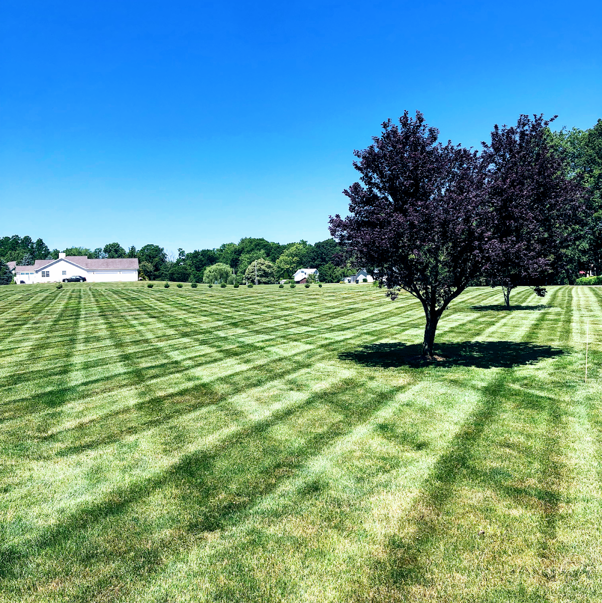 Chestnut Ridge Lawn Care landscapers project photo