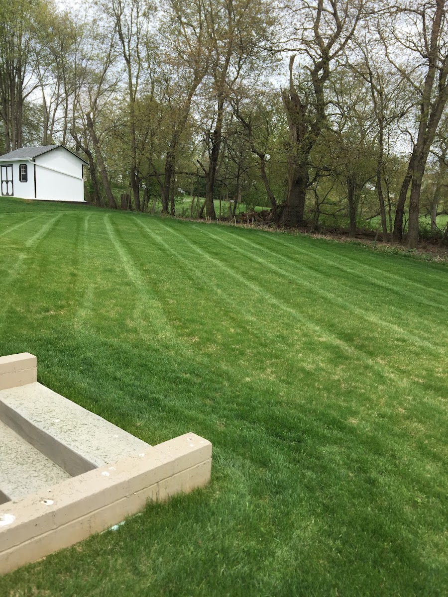 Chestnut Ridge Lawn Care landscapers project photo