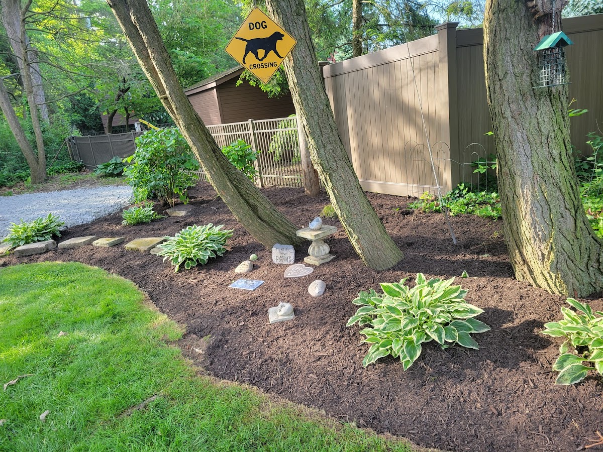 My Buckeye Lawn, LLC landscapers project photo