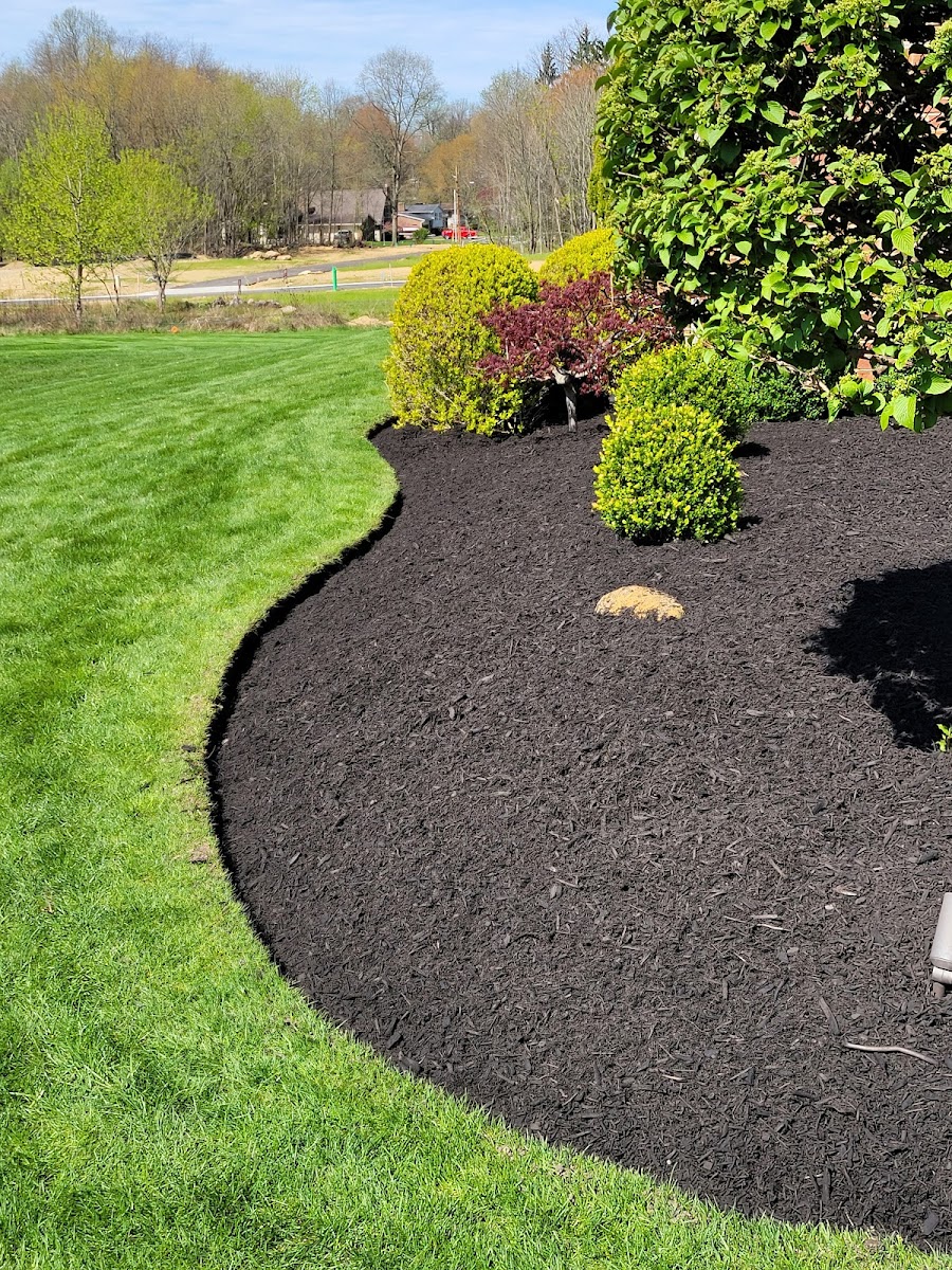My Buckeye Lawn, LLC landscapers project photo