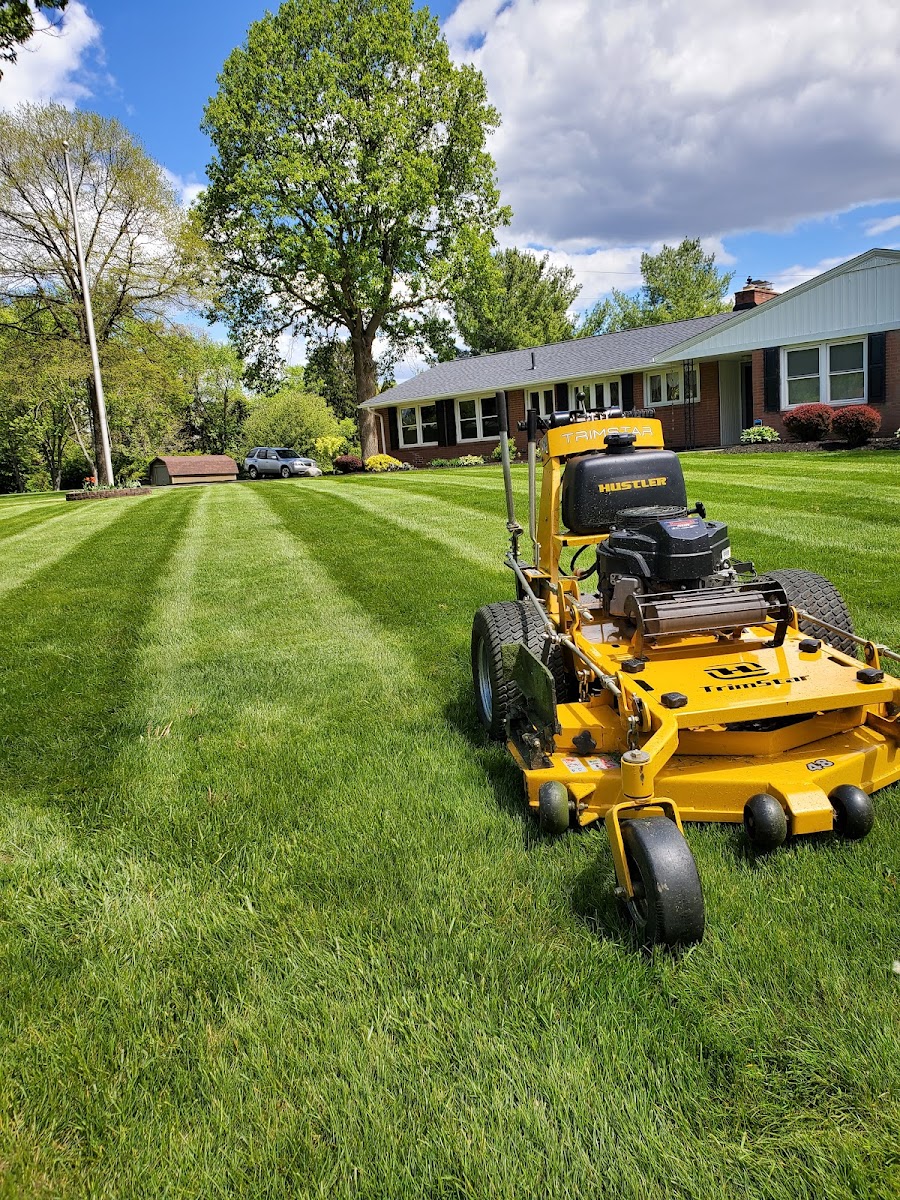 My Buckeye Lawn, LLC landscapers project photo