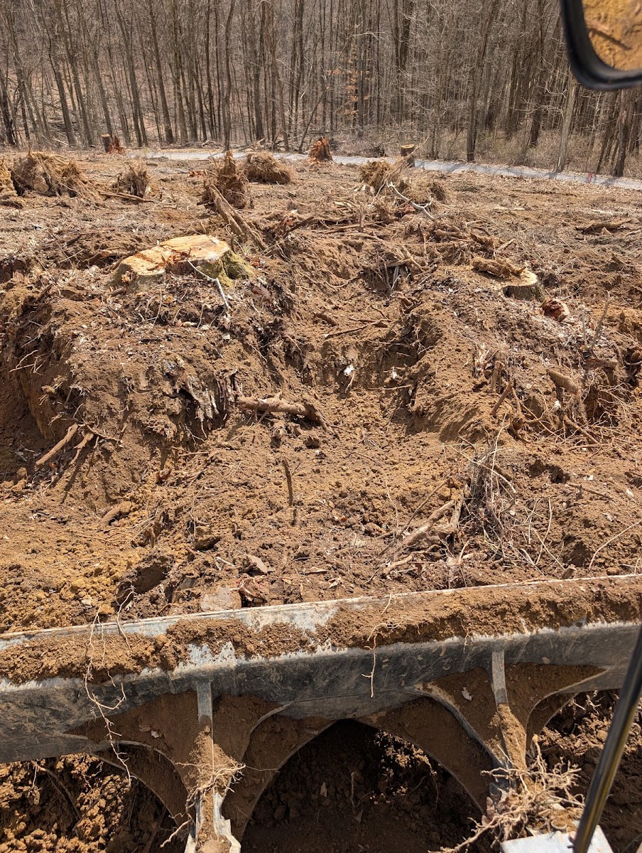 Davis and Daughter Excavating, LLC landscapers project photo