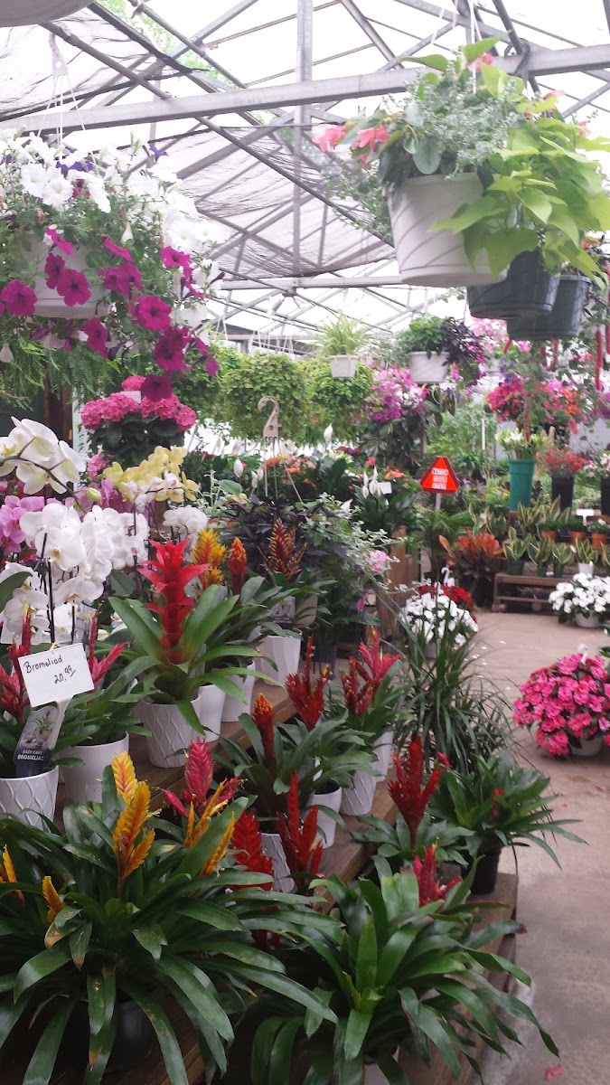 Miller's Flowerland florists project photo