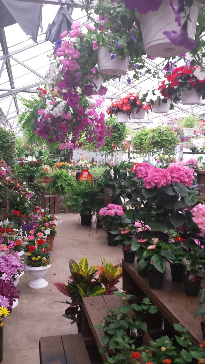 Miller's Flowerland florists project photo