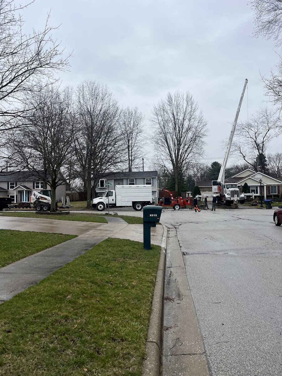 Trace's Lawn Care & Tree Service Inc landscapers project photo