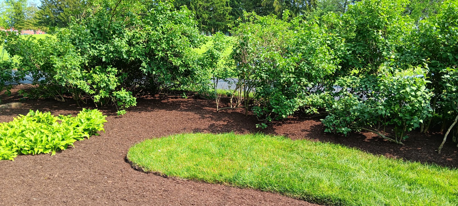 Duvall and Sons Lawn and Landscape landscapers project photo