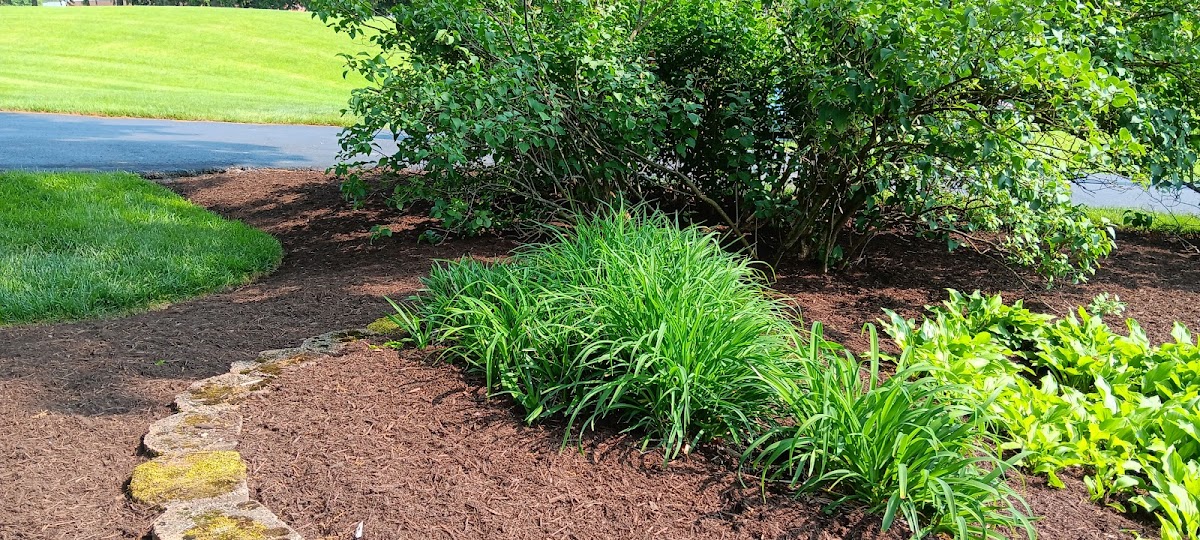 Duvall and Sons Lawn and Landscape landscapers project photo