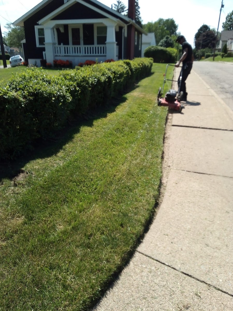 Eric's Lawn & Landscaping All Season Outdoor Services L.L.C. landscapers project photo