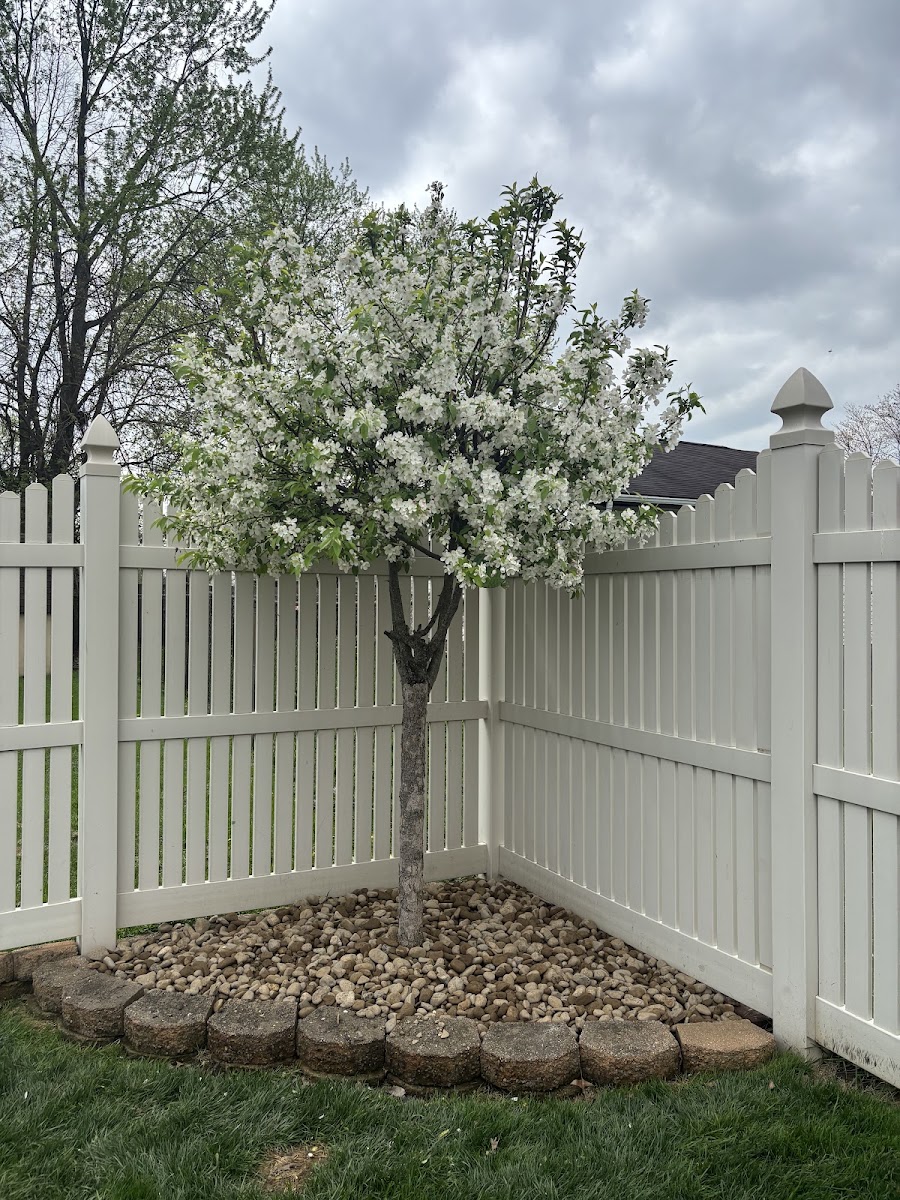 Adams Lawn & Landscape landscapers project photo