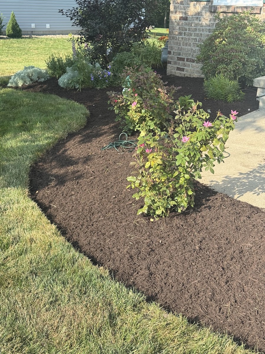 Adams Lawn & Landscape landscapers project photo