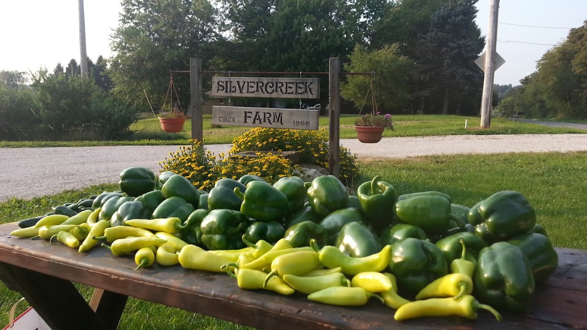 Silvercreek Farm Florist florists project photo