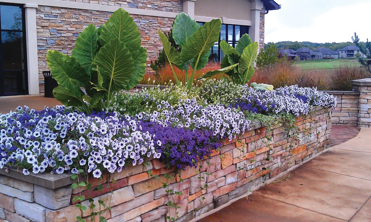 Enviroscapes landscapers project photo