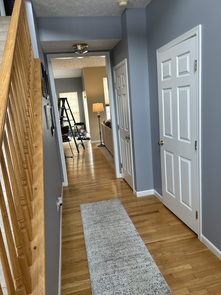 Dutch valley painting and restorations painters project photo