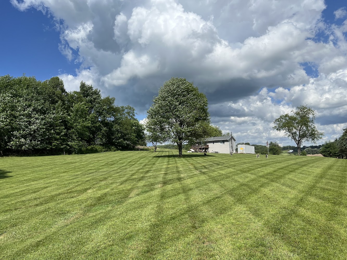 Yards & Stripes Landscaping LLC landscapers project photo