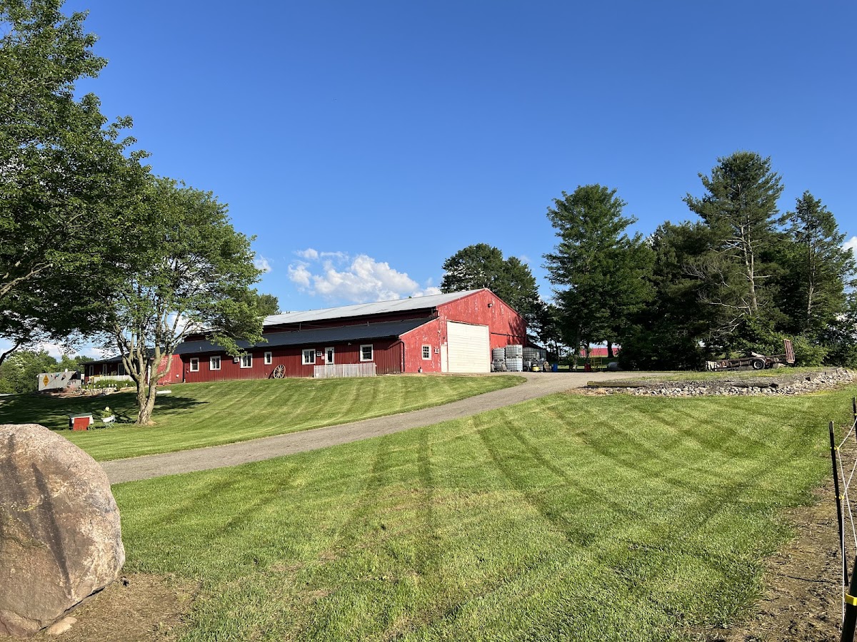 Yards & Stripes Landscaping LLC landscapers project photo