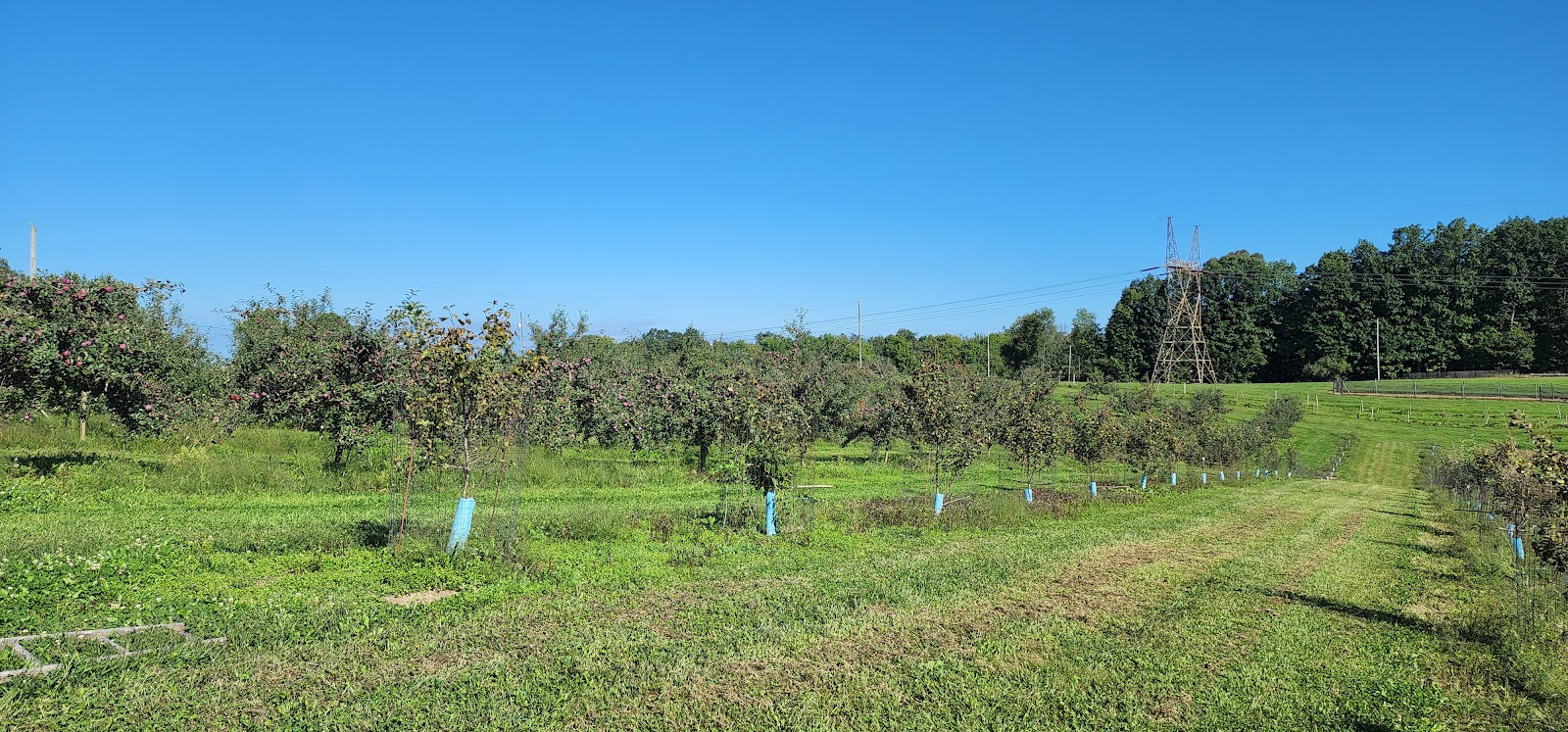 Varian Orchards-Apple Barrel caterers project photo
