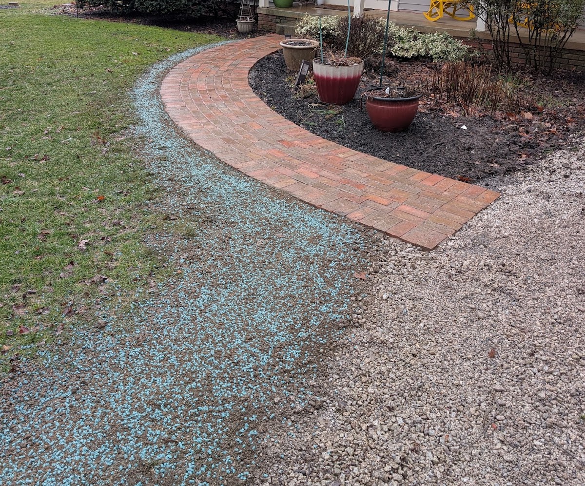 Green America Landscapes landscapers project photo