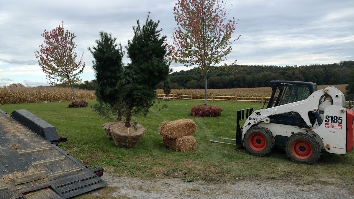 Green America Landscapes landscapers project photo
