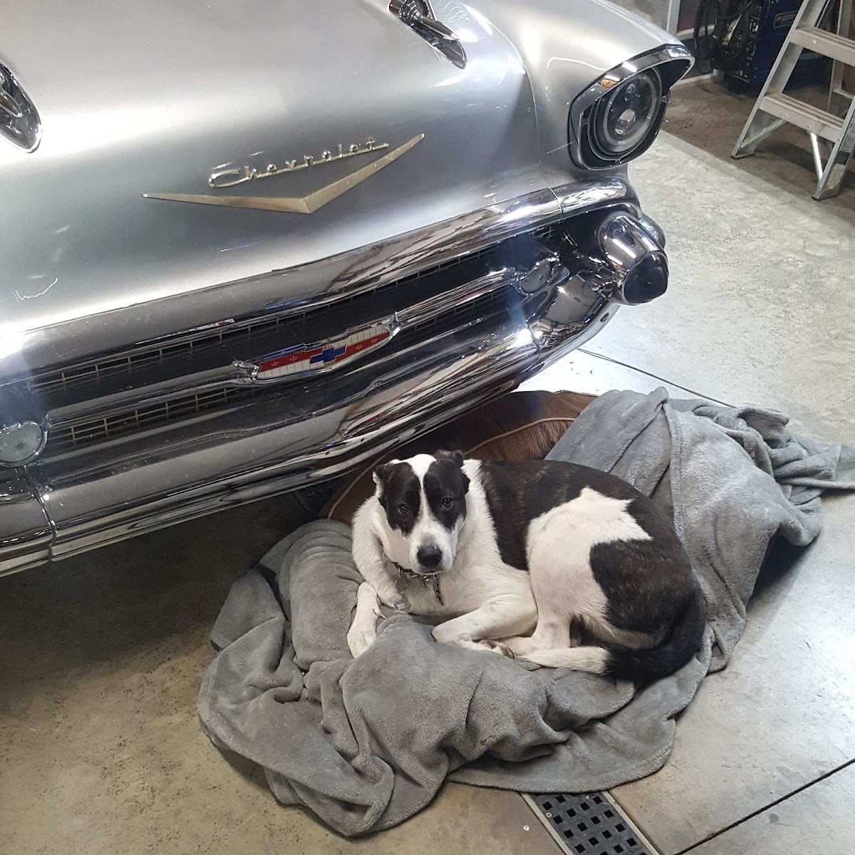 C. D. Innovations LLC auto detailing project photo