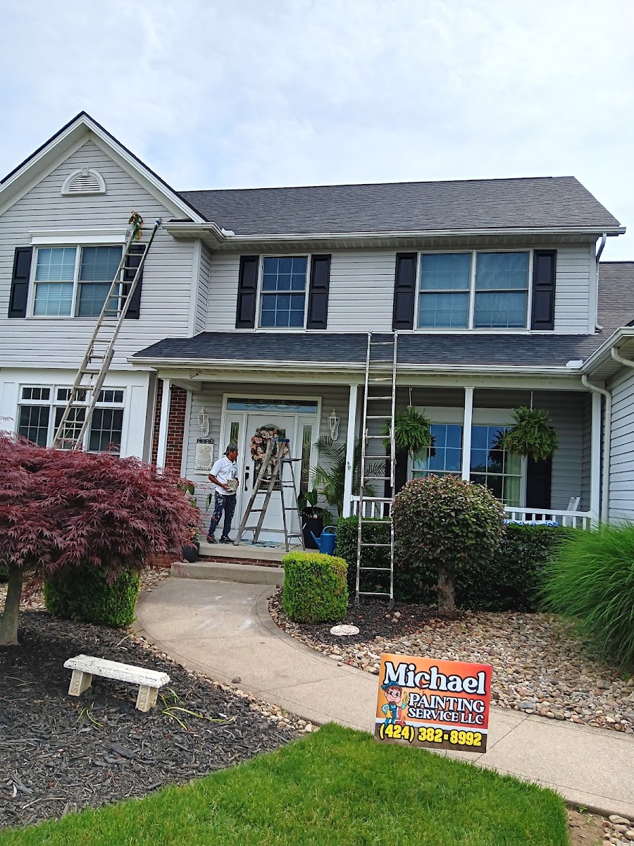 Michael Painting Services LLC painters project photo
