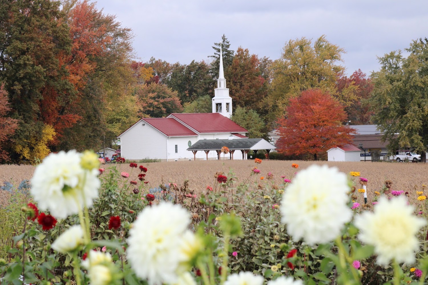 Sunshine Flower Farm florists project photo